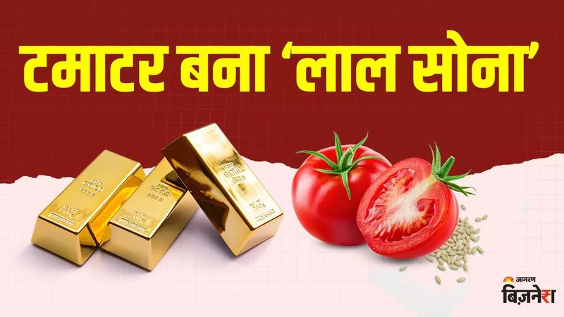 老年人体检，这些注意事项不容忽视**