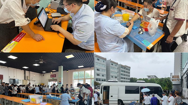 查询单位团检报告时，需要准备以下信息：